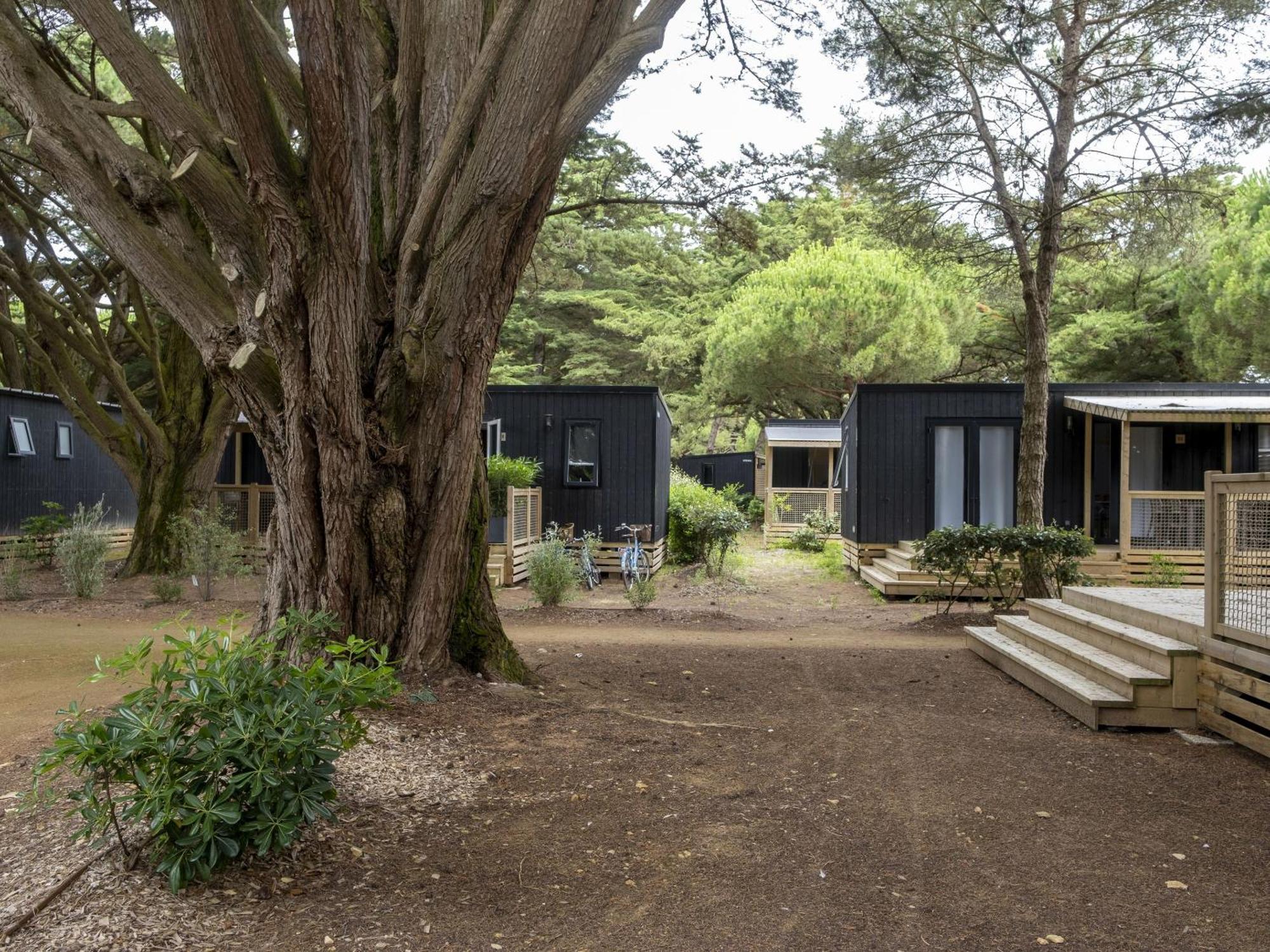 Domaine Residentiel De Plein Air Les Tamarins Hotel Le Bois-Plage-en-Re Exterior photo